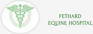 Fethard Equine Hospital