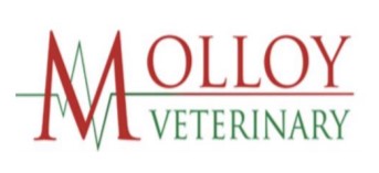 Molloy Veterinary