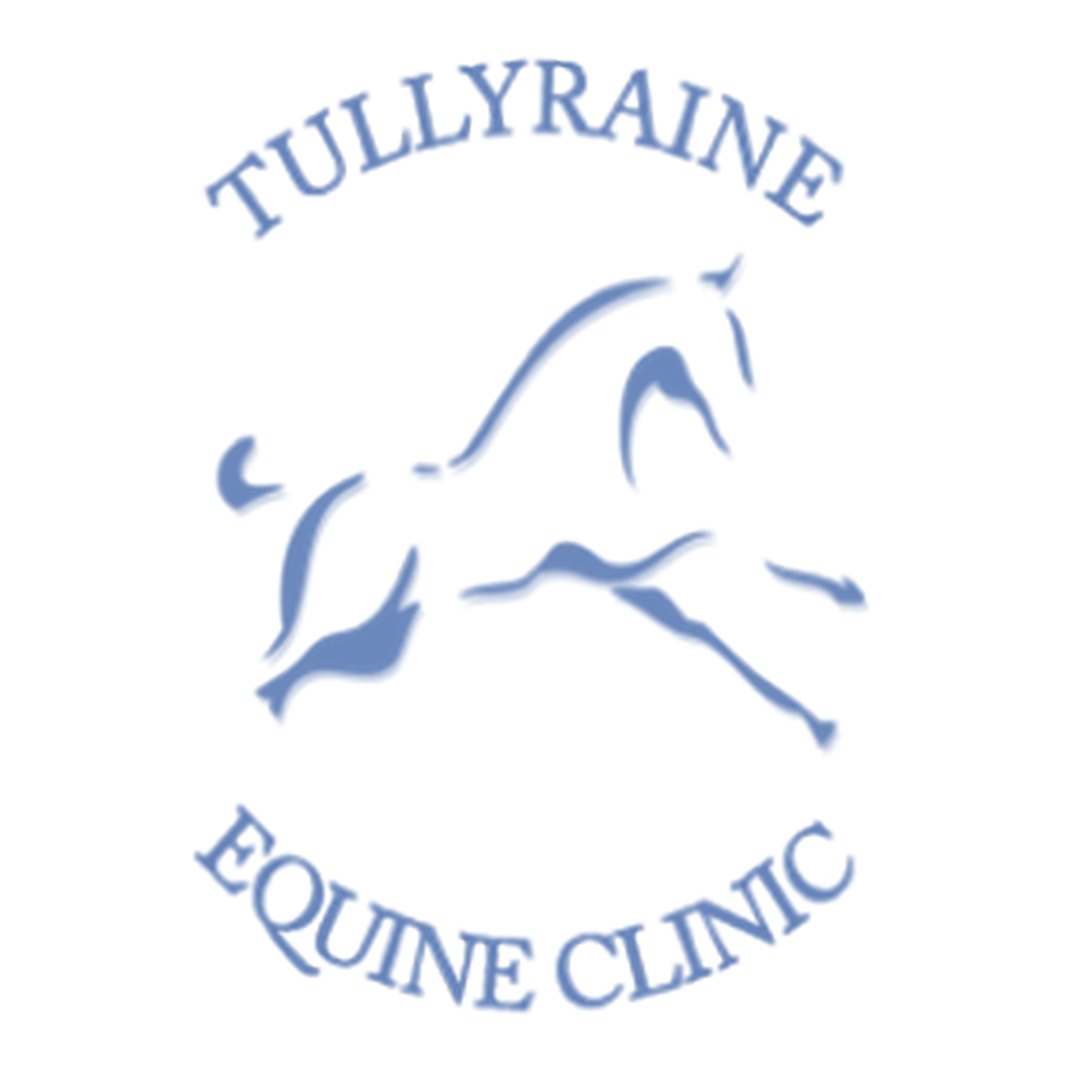 Tullyraine Equine Clinic