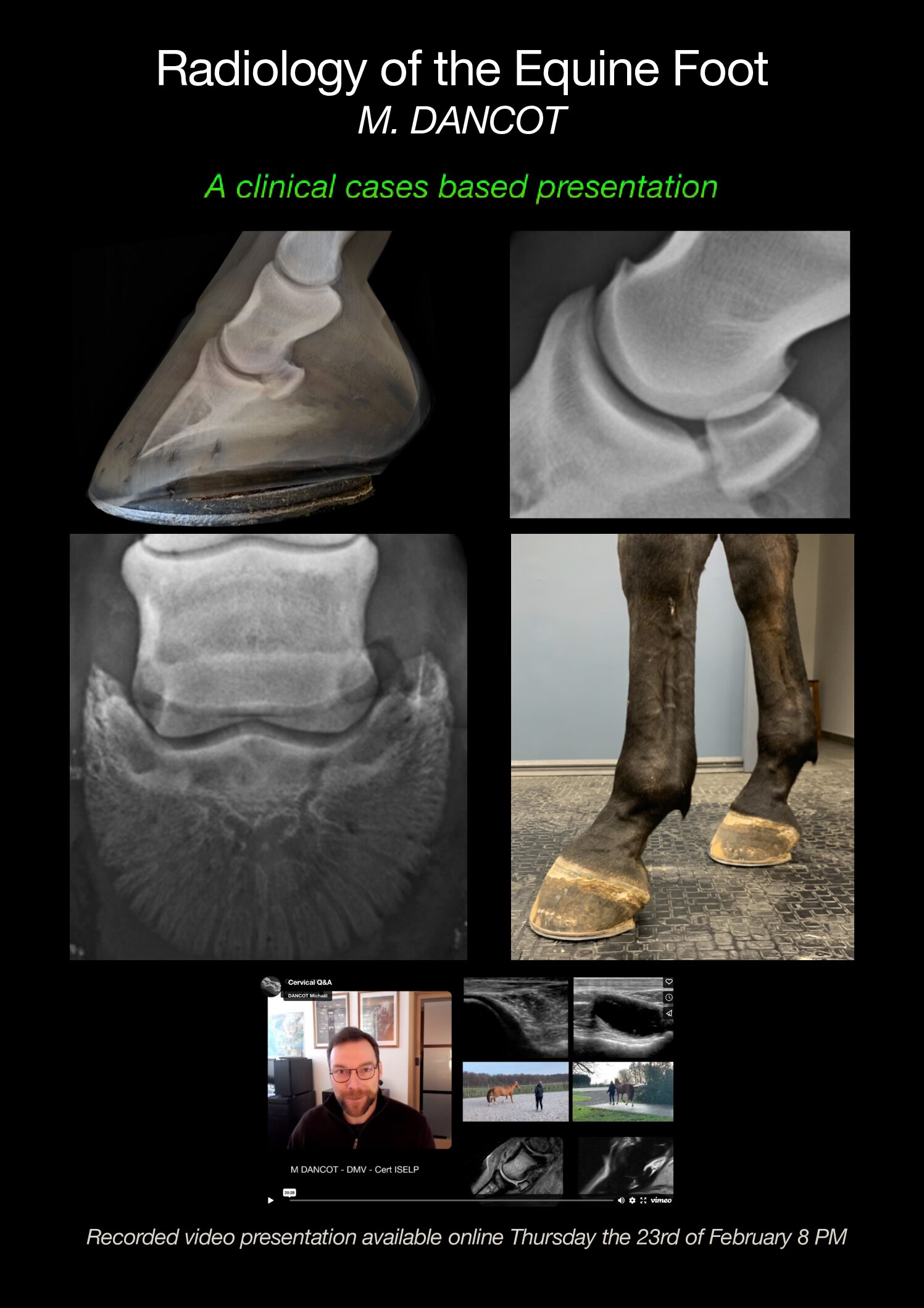 Radiology of the Equine Foot 