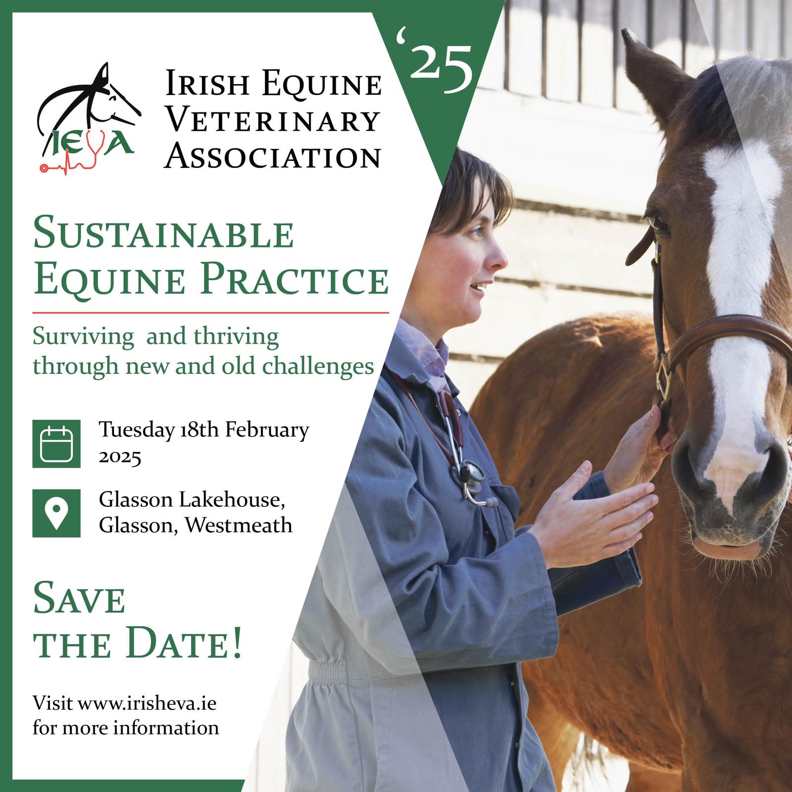 Sustainable Equine Practice