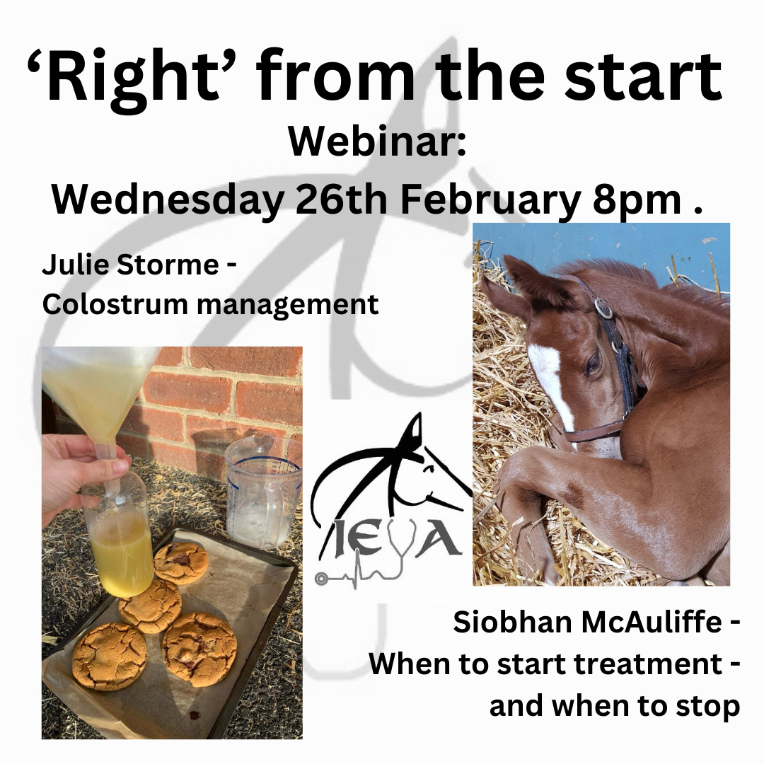 New Born Foals Webinar