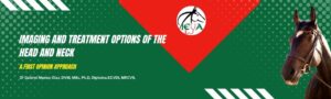 Imaging & Treatment Options Of The Head & Neck: A First Opinion Approach
