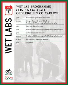 Thursday 5th - Wet Lab